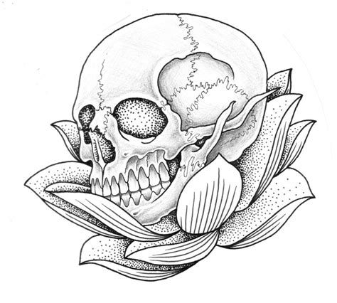 Skull Side View Drawing at GetDrawings | Free download