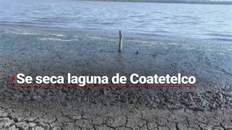 Se Seca Laguna De Coatetelco En Morelos VivirSinAgua YouTube