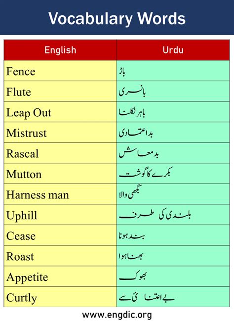 Urdu Words English Words English Vocabulary Words Learn 50 Off