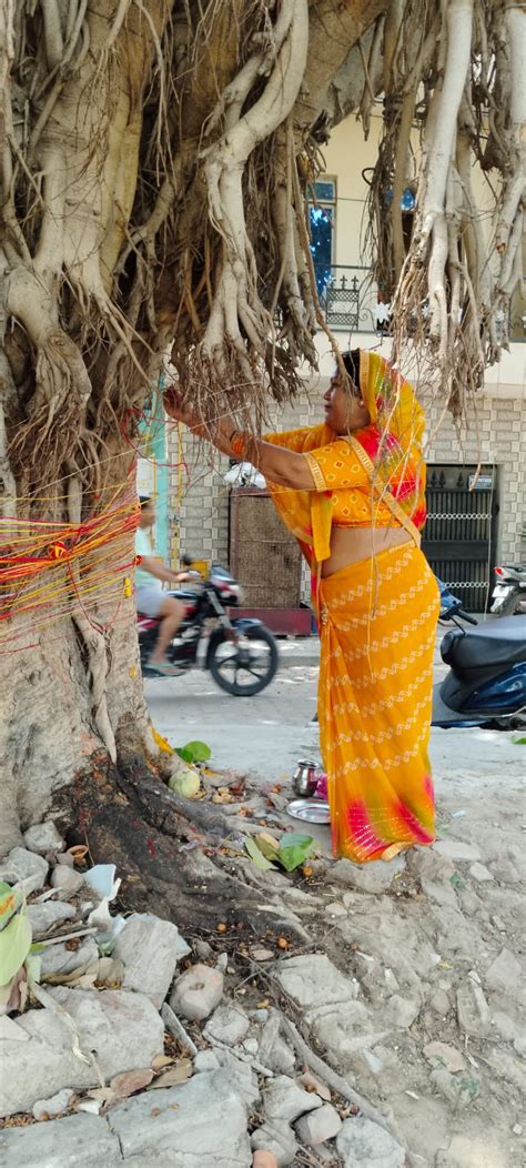 Married Women Reached The Temple To Worship Vat Savitri 2024 In Up वट