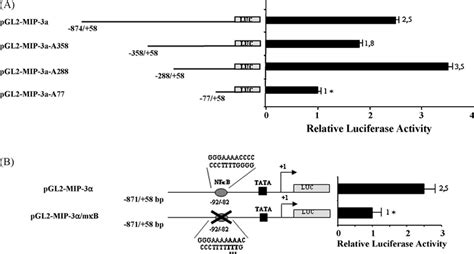 Transactivation Of The CCL20 Promoter By DFX A Characterization Of