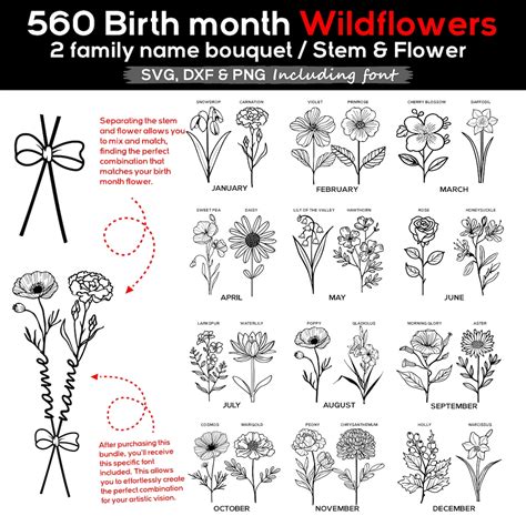 Couple Wildflower Birth Month 560 Graphic Files Svg Dxf Png Bundle