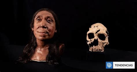 Cient Ficos Reconstruyen El Rostro De Una Mujer Neandertal Que Vivi