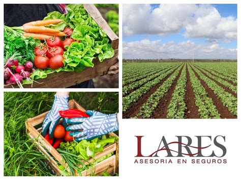 SEGUROS PARA AGRO El seguro agrícola que te ofrecemos LARES ASESORES