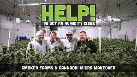 Help I Have A Humidity Problem Cannadri Visits Smoker Farms For A