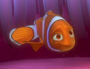 Finding Nemo Coral Death