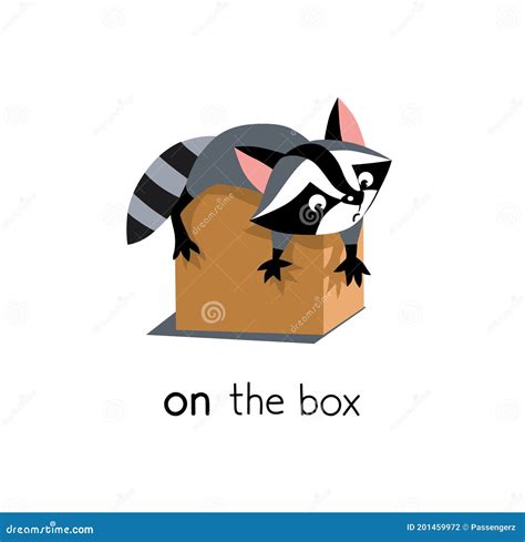 Preposition Of Place Raccoon Behind The Box Stock Vector Hot Sex Picture