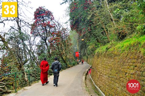 Mall Road Darjeeling Most Visited Destinations