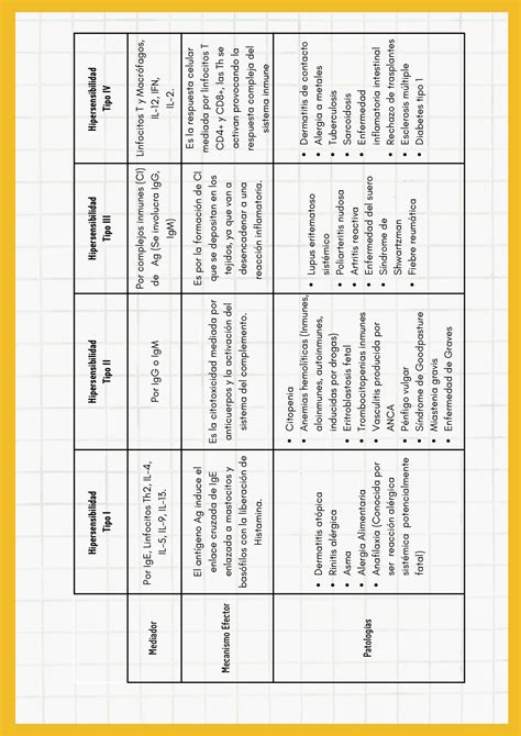 Solution Tipos De Hipersensibilidad Inmunolog A Studypool