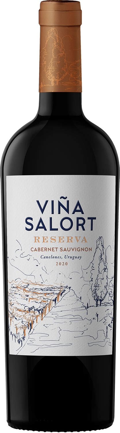 Vina Salort Cab Sauvignon Reserva 2021 M P Alkohole Wina Cygara