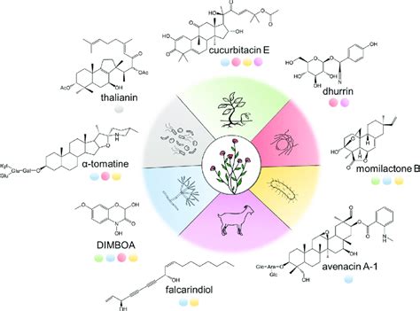 Examples Of Plant Specialized Metabolites Produced By BGCs And Their