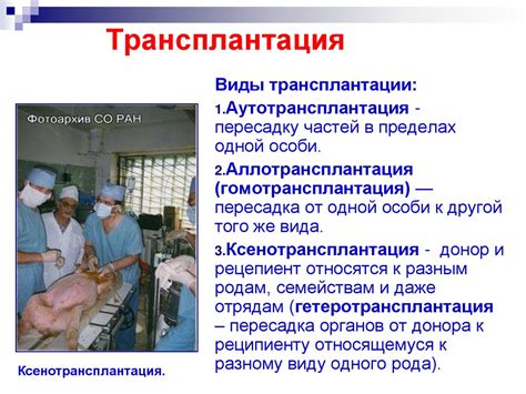 Transplantatsia_i_regeneratsia - презентация онлайн