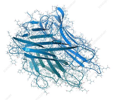 TNF alpha molecule, illustration - Stock Image - F019/2425 - Science ...