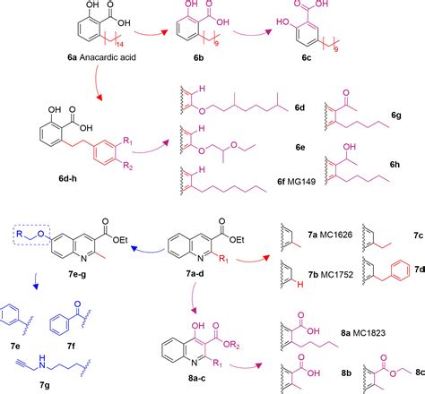 Frontiers Lysine Acetyltransferase Inhibitors From Natural Sources