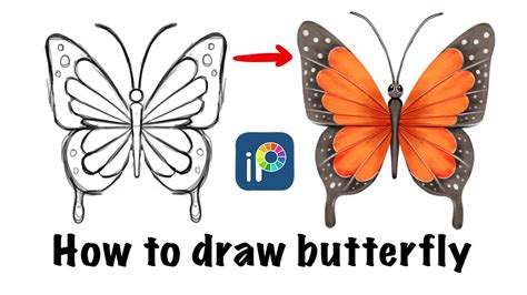 How To Draw Butterfly In Ibis Paint X Step By Step Ibis Paint X