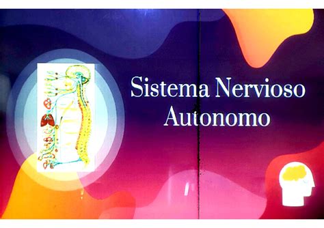 Fisiologia I Diapositiva Tercer Parcial Sistema Nervioso