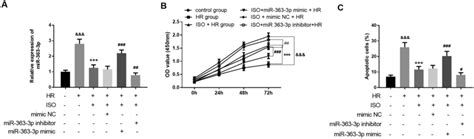 Effects Of Mir 363 3p On Cell Viability And Apoptosis Of H9c2 Cells A