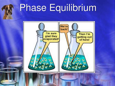 Equilibrium Phase Diagram Definition Phase Equilibrium Intro