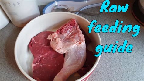 Raw Feeding Guide For Dogs All You Need To Know Youtube