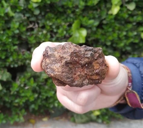 Sericho Pallasite Stony Iron Meteorite 656 G Catawiki