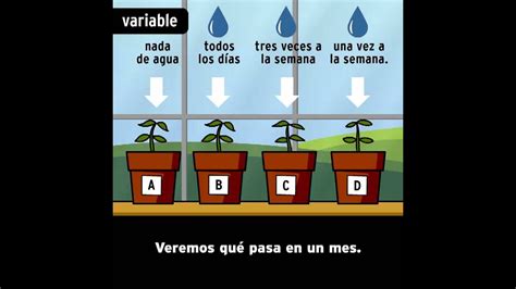 Ejemplo De La Utilizacion Del Metodo Cientifico Ejemplo Sencillo Images