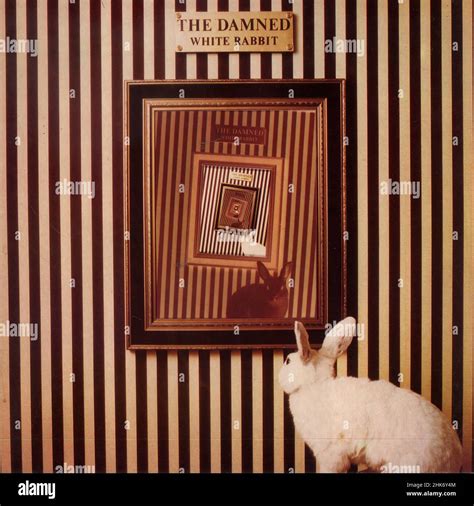 Vintage Vinyl Record Cover D Amned The White Rabbit 12inch Maxi