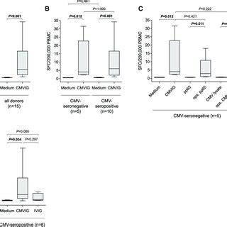 Immunomodulatory Effect Of CMVIG On Monocytes Freshly Isolated PBMCs