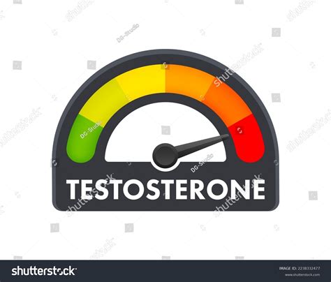 Androgen Levels Stock Vectors Images Vector Art Shutterstock