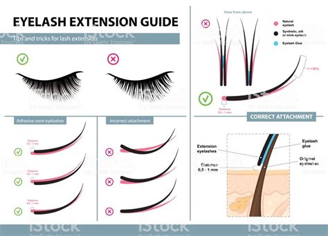 Lash Base Training Manual