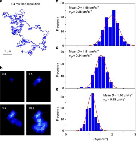 Simulation Of The Diffusion Coefficients Of Single Particles In Two