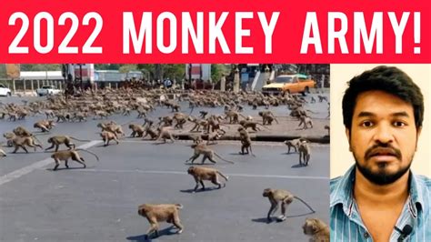 2022 Monkey Army Explained Tamil Madan Gowri MG YouTube