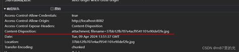 vue使用axios获取不到响应头Content Disposition的问题及解决 vue js 脚本之家
