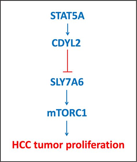 Stat A In Hepatocellular Carcinoma Genexplain