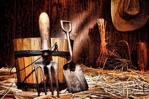 Antique Gardening Tools Photograph By Olivier Le Queinec Fine Art America