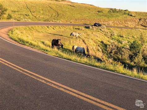 Things To Do In Medora Nd Our Wander Filled Life