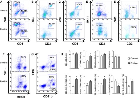 Populations Of Different Subsets Of Leukocytes In Peripheral Blood