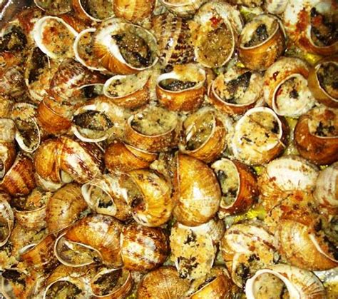 Come Cucinare Le Lumache In Umido Alla Calabrese Piatti Tipici Calabresi