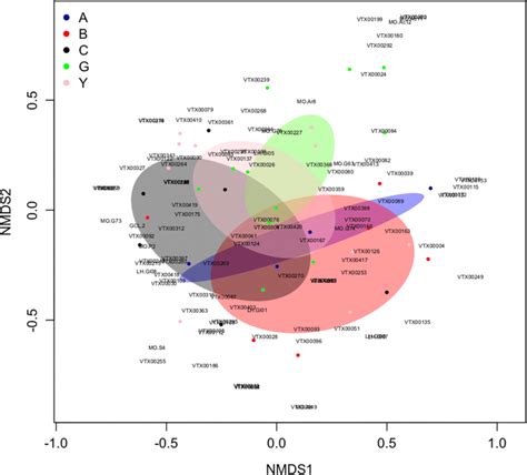 Non Metric Multidimensional Scaling Two Dimensional Analysis Nmds To