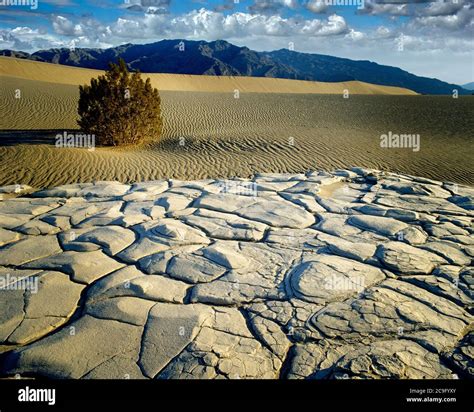 États Unis CALIFORNIE Parc national de la Vallée de la mort Photo