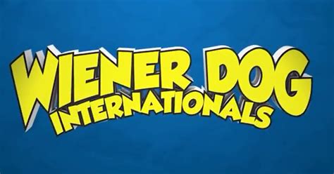 Everything Doxie Wiener Dog Internationals