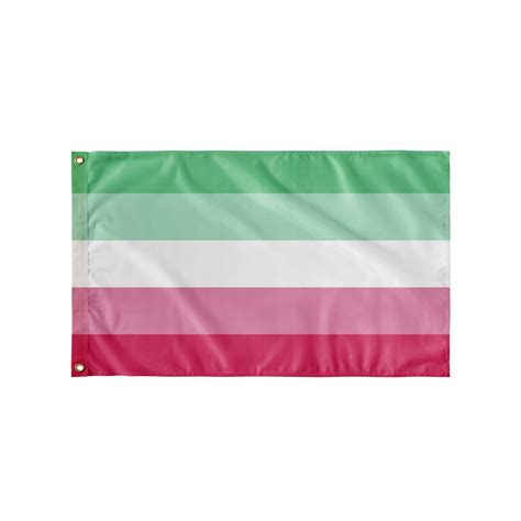 Abrosexual Pride Flag 3x5 Etsy