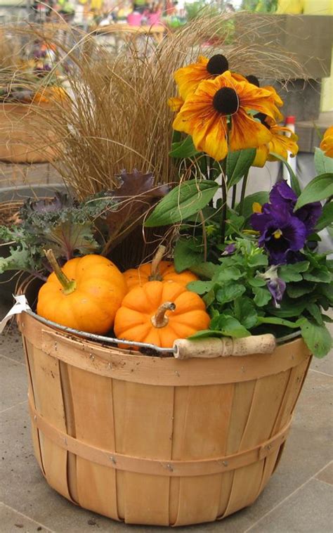 Looking For Garden Ideas For Your Fall D Cor Check Out Our Gallery It