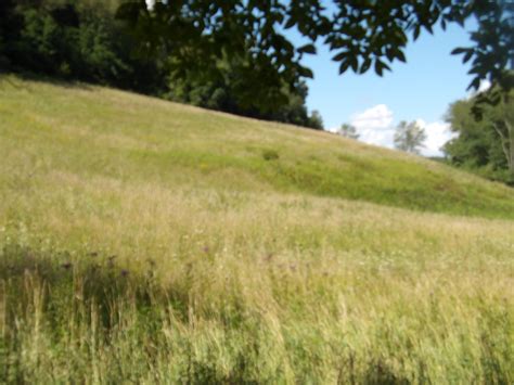 Jewett, Harrison County, OH Recreational Property, Hunting Property for