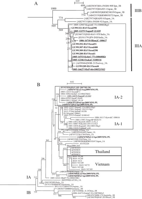 A Phylogenetic Tree Of The Nucleotide Sequences Of The Vp12a