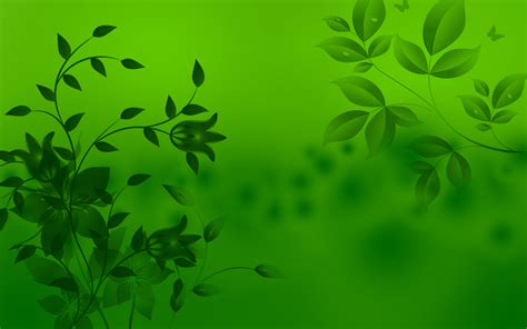 Super Light Green Wallpapers Top Những Hình Ảnh Đẹp