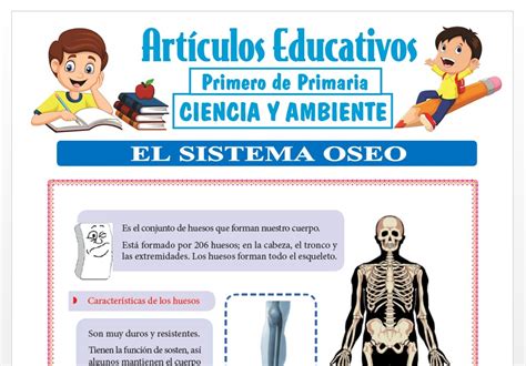 El Sistema Seo Para Primero De Primaria Articulos Educativos