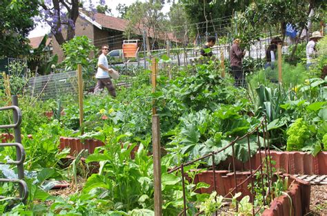 Permacultura Santiago Del Estero Que Es La Permacultura