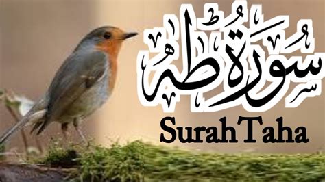 Beautiful Recitation Of Surah Taha Youtube