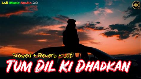 Tum Dil Ki Dhadkan Mein • Dhadkan Slowedreverb Hindi Sed Song 💔🎧