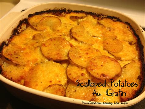 Scalloped Potatoes Au Gratin Mamal Diane